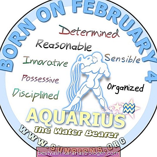 4. februar Zodiac