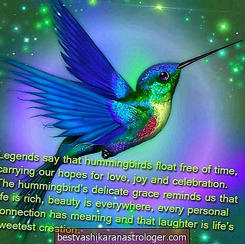 The Hummingbird Spirit Animal