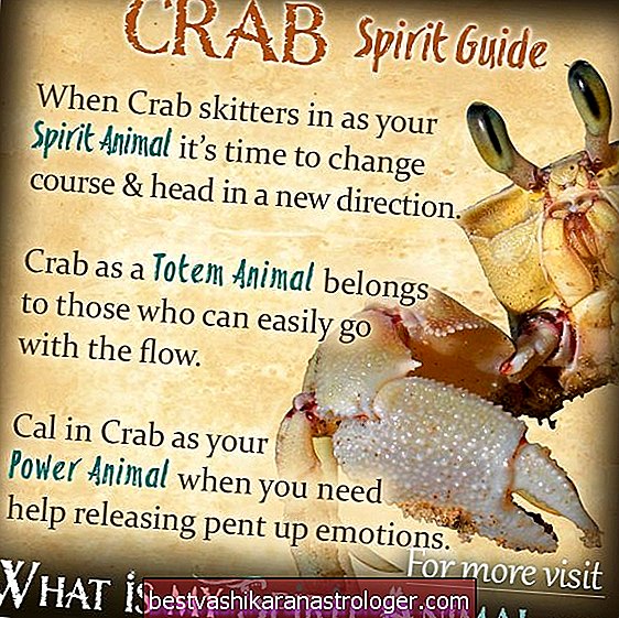The Crab Spirit Animal