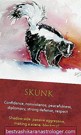 The Skunk Spirit Animal